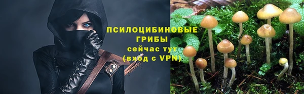 a pvp Инта