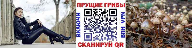 Купить  Североуральск  Псилоцибиновые грибы мицелий 